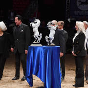    Lisa Abraham: The 2017 Arabian Breeders World Cup Photo Gallery: VEGAS!