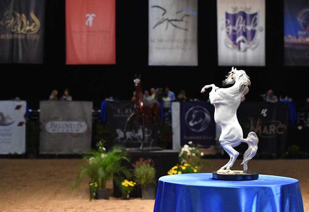    Lisa Abraham: The 2017 Arabian Breeders World Cup Photo Gallery: VEGAS!