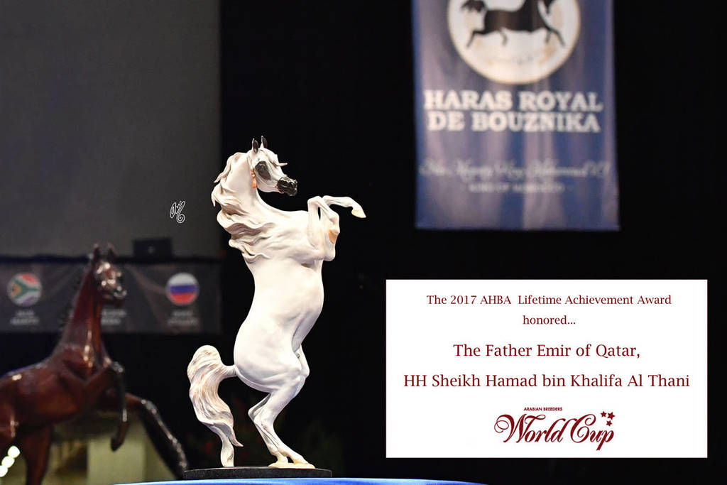    Lisa Abraham: The 2017 Arabian Breeders World Cup Photo Gallery: VEGAS!