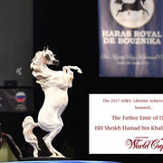    Lisa Abraham: The 2017 Arabian Breeders World Cup Photo Gallery: VEGAS!