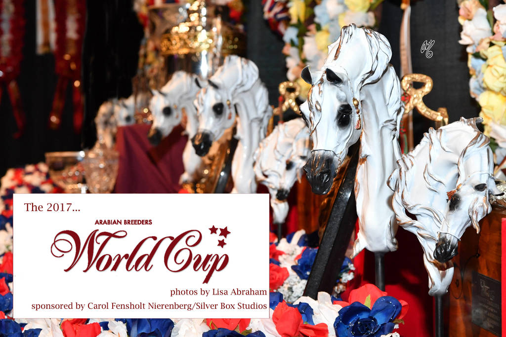   Lisa Abraham: The 2017 Arabian Breeders World Cup Photo Gallery: VEGAS!