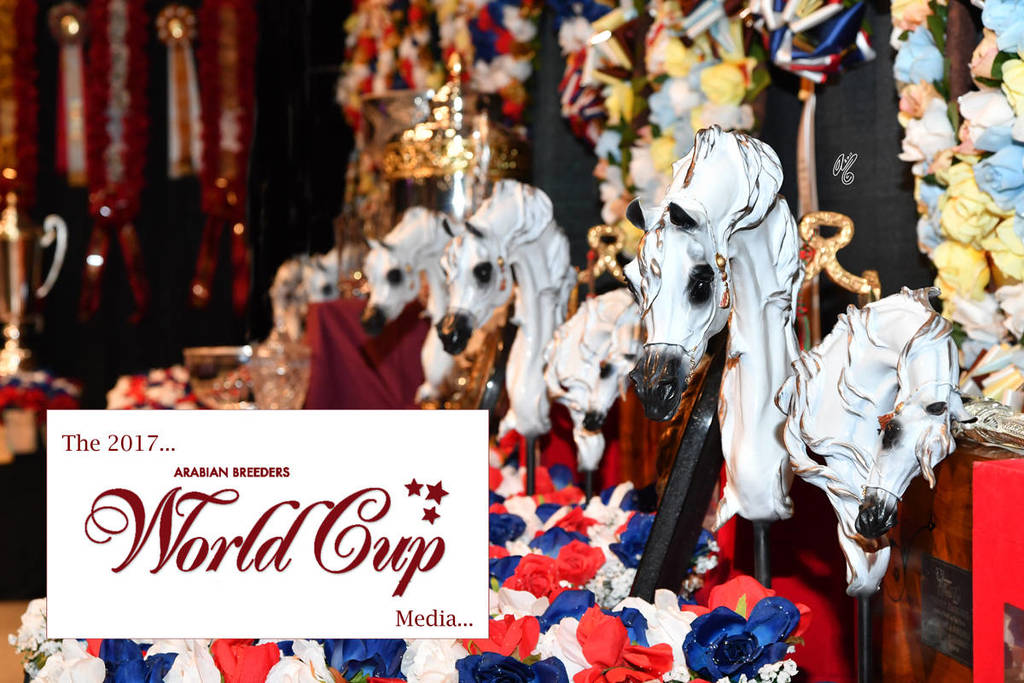    Lisa Abraham: The 2017 Arabian Breeders World Cup Photo Gallery: VEGAS!