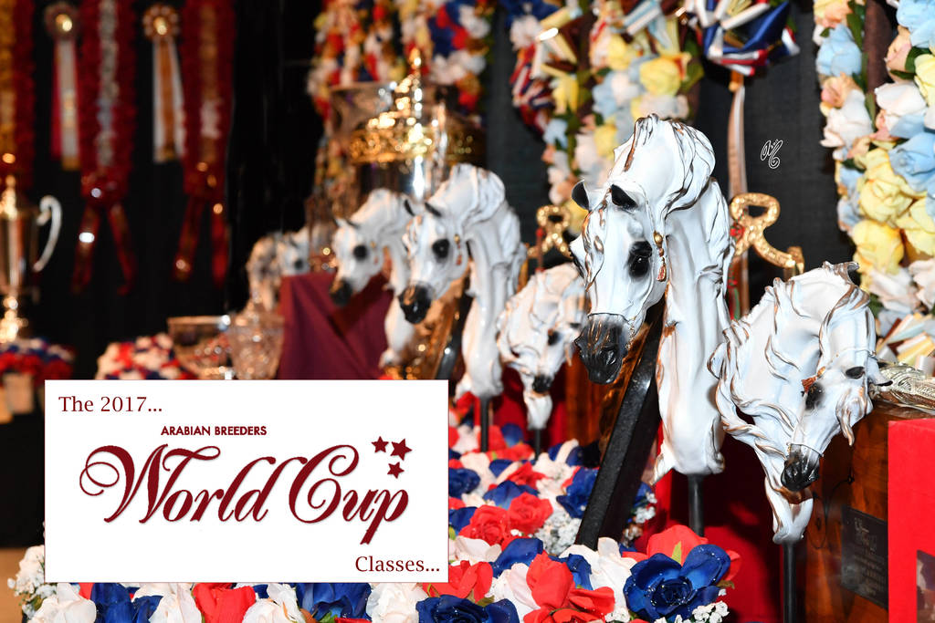    Lisa Abraham: The 2017 Arabian Breeders World Cup Photo Gallery: VEGAS!