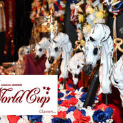    Lisa Abraham: The 2017 Arabian Breeders World Cup Photo Gallery: VEGAS!