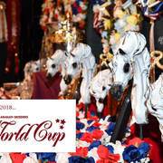    Lisa Abraham: The 2017 Arabian Breeders World Cup Photo Gallery: VEGAS!