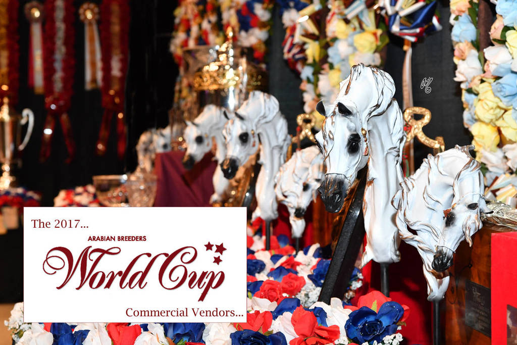    Lisa Abraham: The 2017 Arabian Breeders World Cup Photo Gallery: VEGAS!