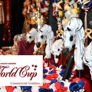    Lisa Abraham: The 2017 Arabian Breeders World Cup Photo Gallery: VEGAS!