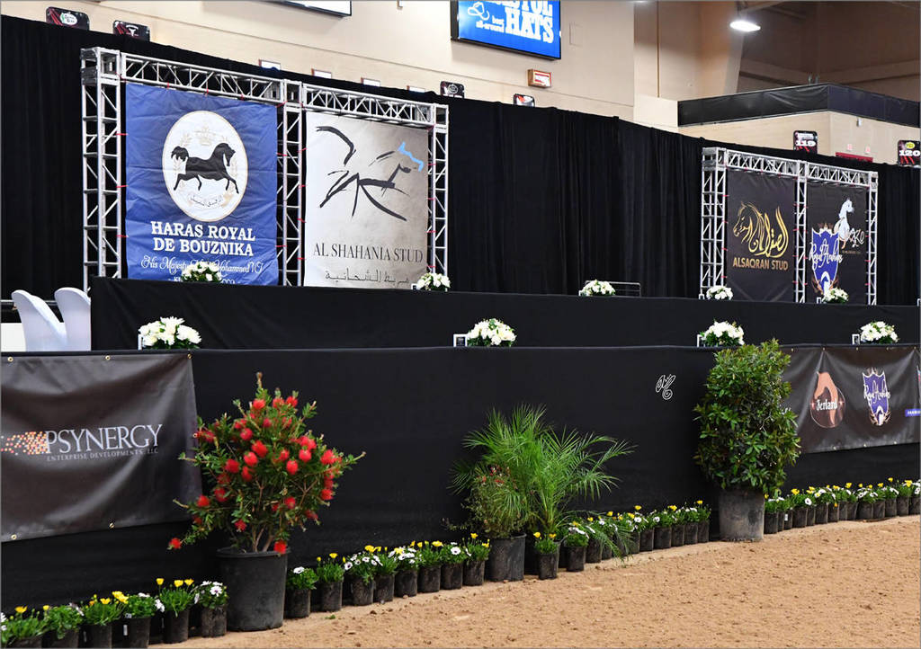    The 2017 Arabian Breeders World Cup: VEGAS!