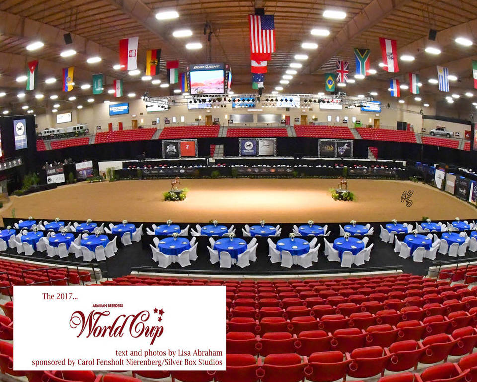    The 2017 Arabian Breeders World Cup: VEGAS!