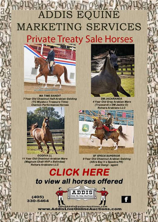 Addis 3 Nights 3 Auctions