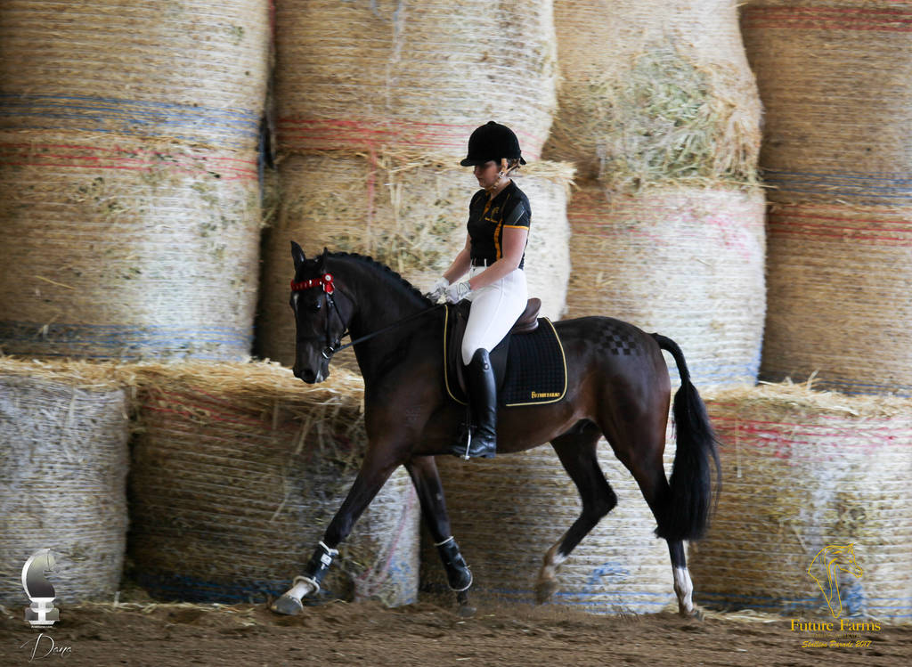 Future Farm's Open Day - Australia 