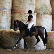 Future Farm's Open Day - Australia 