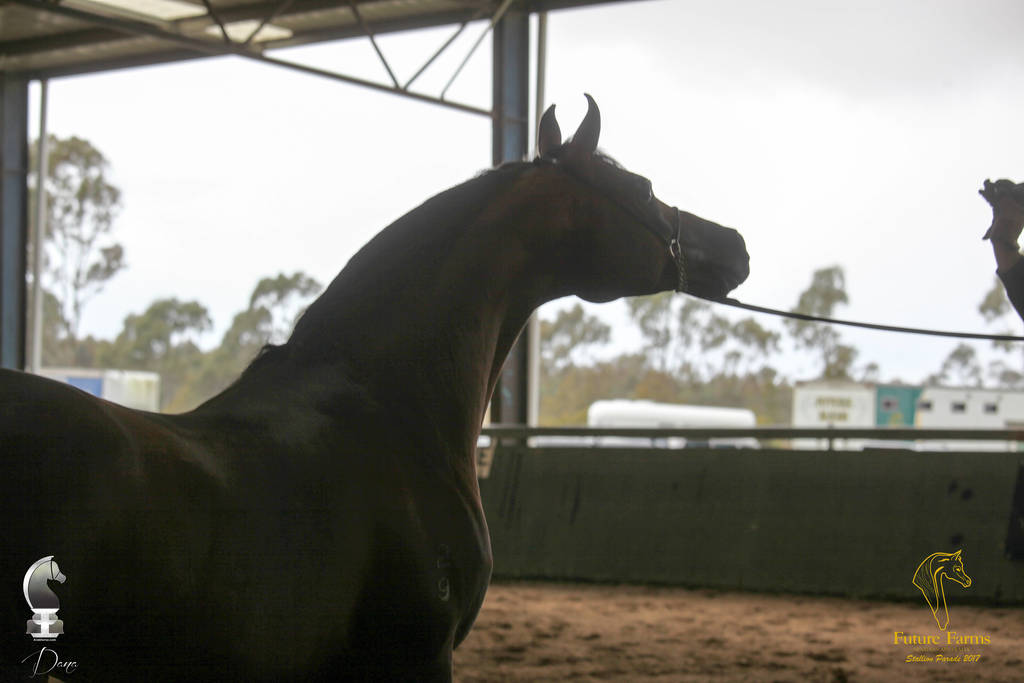 Future Farm's Open Day - Australia 