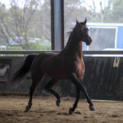 Future Farm's Open Day - Australia 