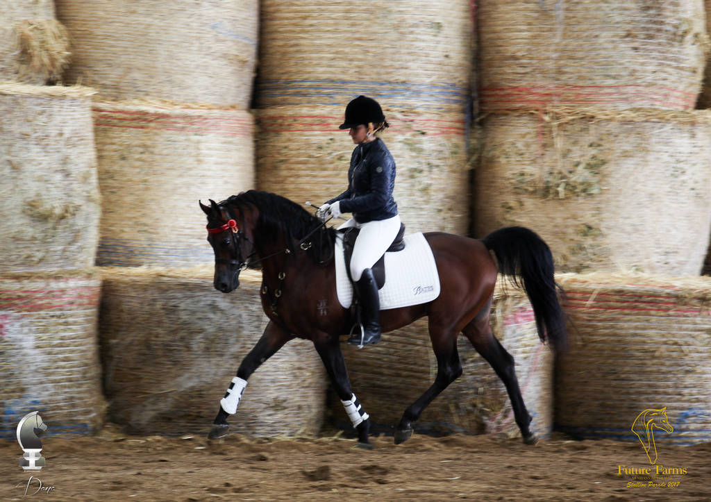 Future Farm's Open Day - Australia 