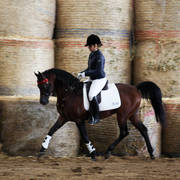 Future Farm's Open Day - Australia 