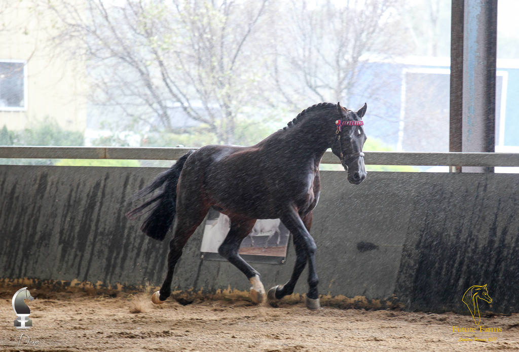 Future Farm's Open Day - Australia 