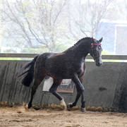 Future Farm's Open Day - Australia 