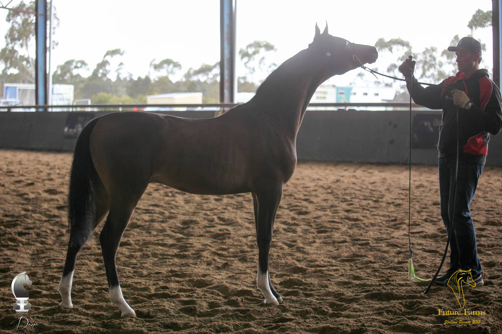 Future Farm's Open Day - Australia 