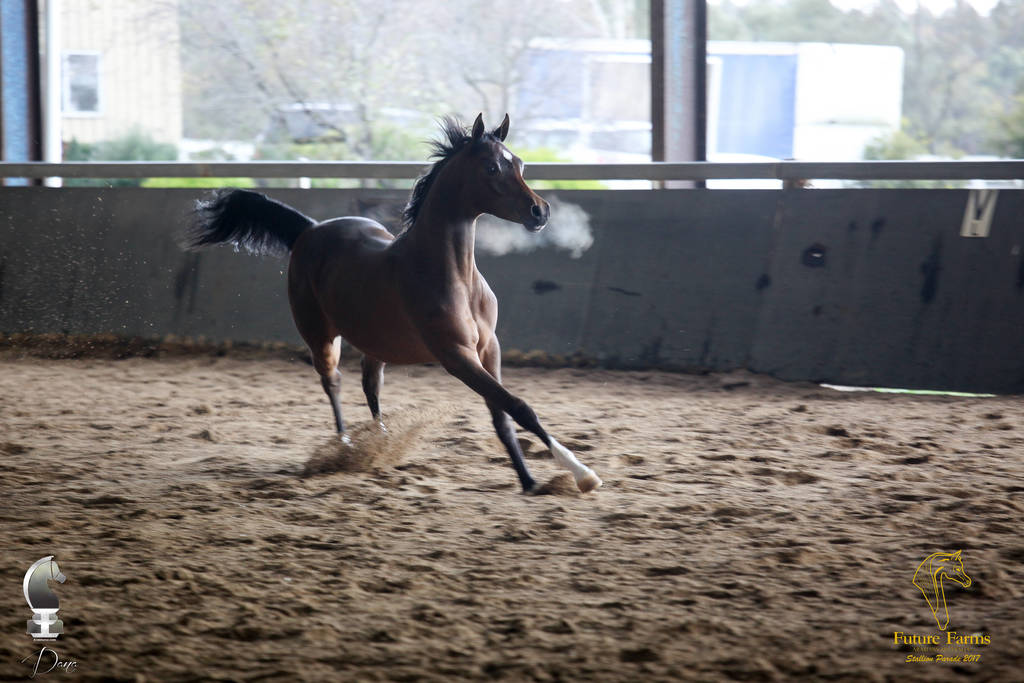 Future Farm's Open Day - Australia 
