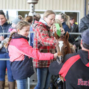 Future Farm's Open Day - Australia 