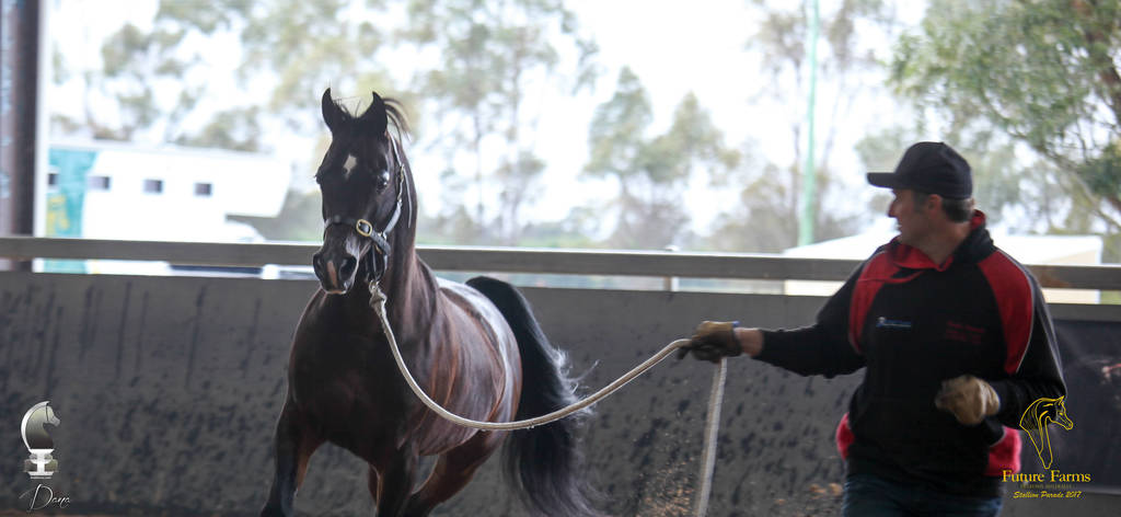 Future Farm's Open Day - Australia 