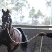 Future Farm's Open Day - Australia 