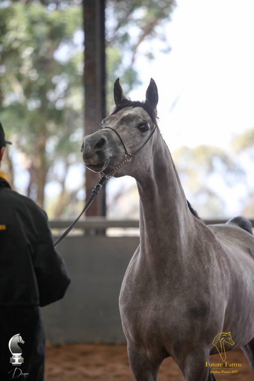 Future Farm's Open Day - Australia 