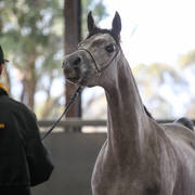 Future Farm's Open Day - Australia 