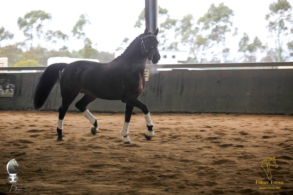 Future Farm's Open Day - Australia 