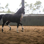 Future Farm's Open Day - Australia 
