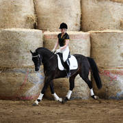 Future Farm's Open Day - Australia 