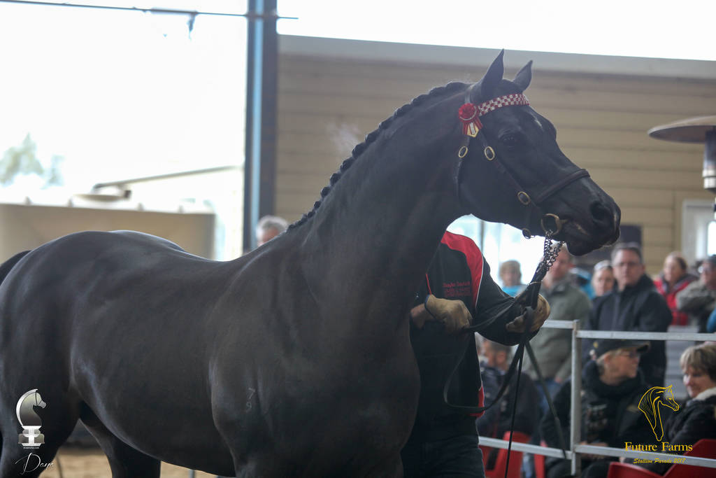 Future Farm's Open Day - Australia 