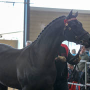 Future Farm's Open Day - Australia 