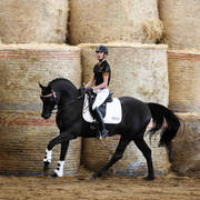 Future Farm's Open Day - Australia 