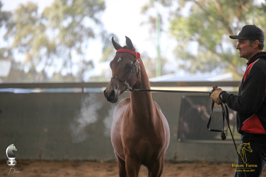 Future Farm's Open Day - Australia 
