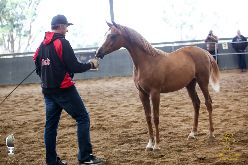 Future Farm's Open Day - Australia 