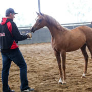 Future Farm's Open Day - Australia 