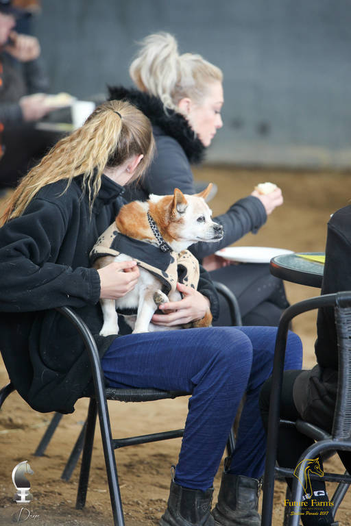 Future Farm's Open Day - Australia 