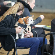 Future Farm's Open Day - Australia 