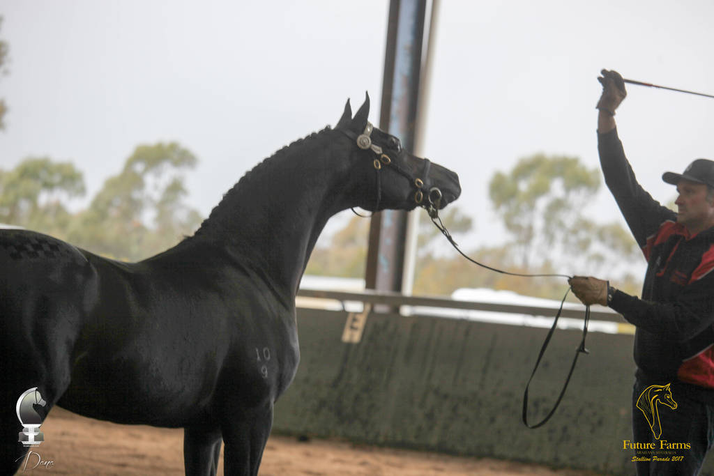 Future Farm's Open Day - Australia 