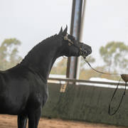 Future Farm's Open Day - Australia 