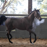 Future Farm's Open Day - Australia 