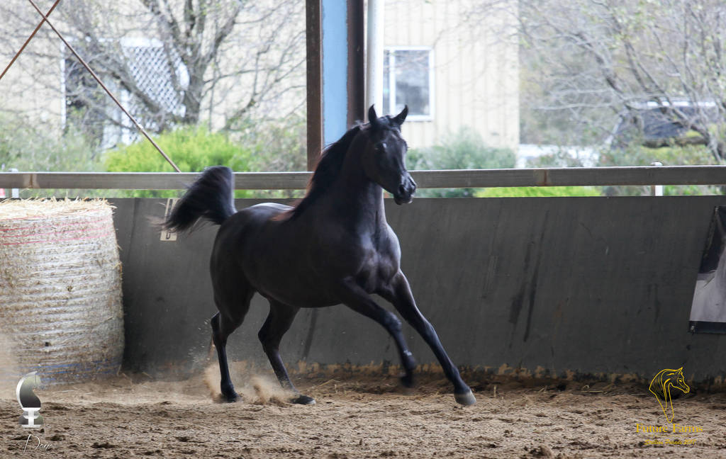 Future Farm's Open Day - Australia 