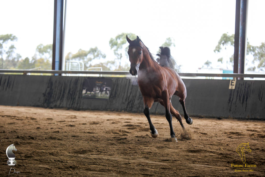 Future Farm's Open Day - Australia 