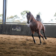 Future Farm's Open Day - Australia 