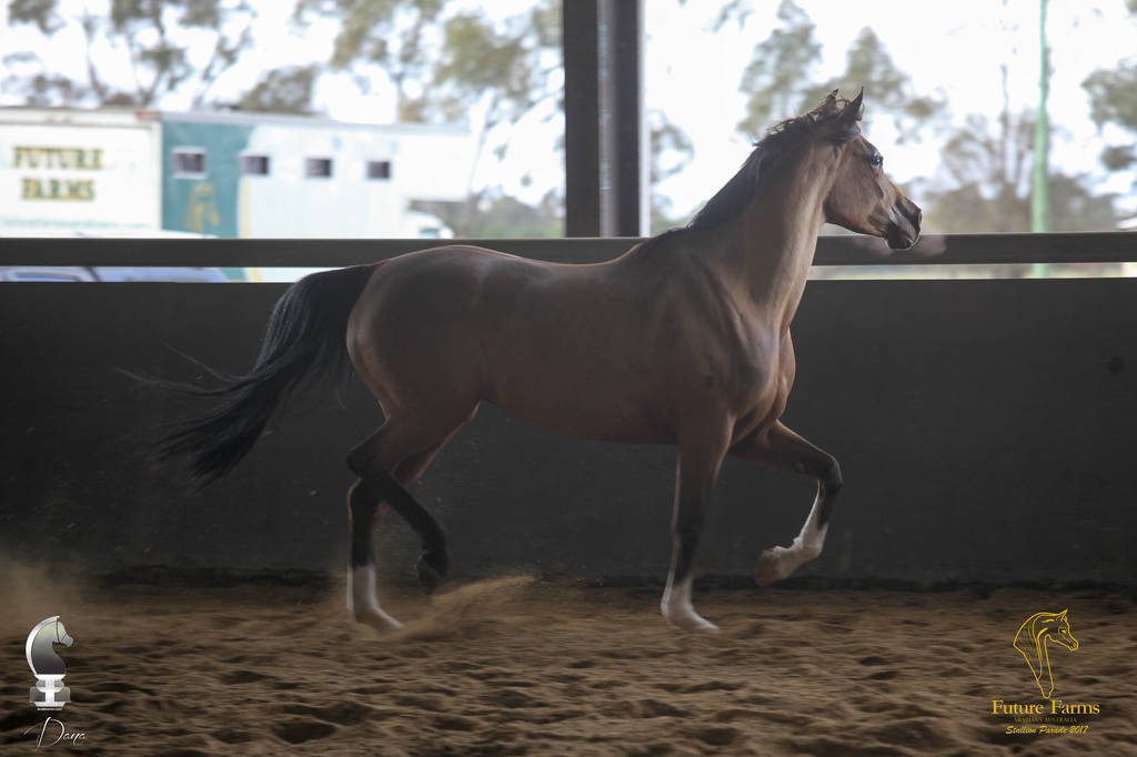 Future Farm's Open Day - Australia 