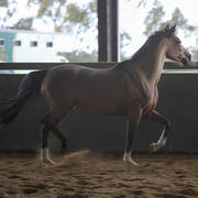 Future Farm's Open Day - Australia 
