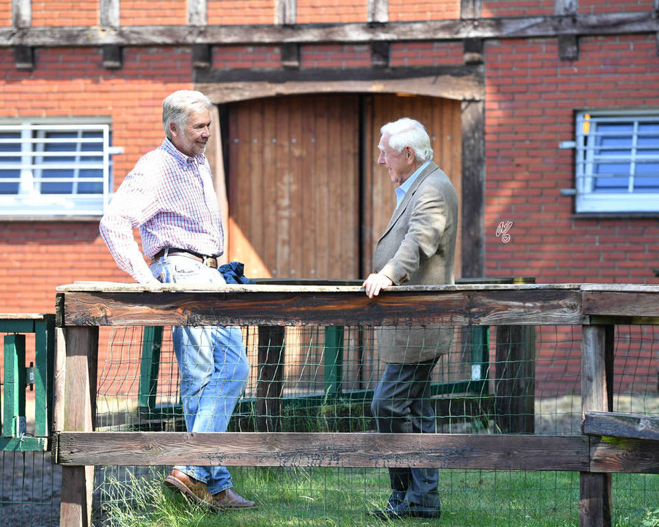 Lisa Abraham: Katharinenhof Stud 2017: A Photographic Essay