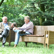 Lisa Abraham: Katharinenhof Stud 2017: A Photographic Essay